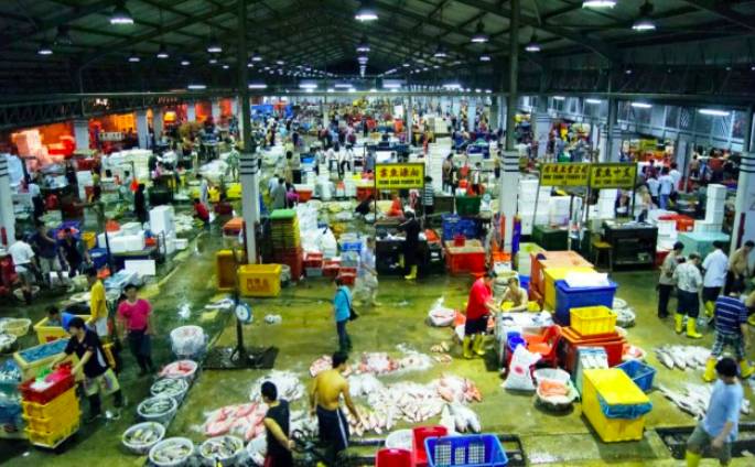 周末去哪玩？一起来探索新加坡本地人都不知道的新奇活动和景点吧