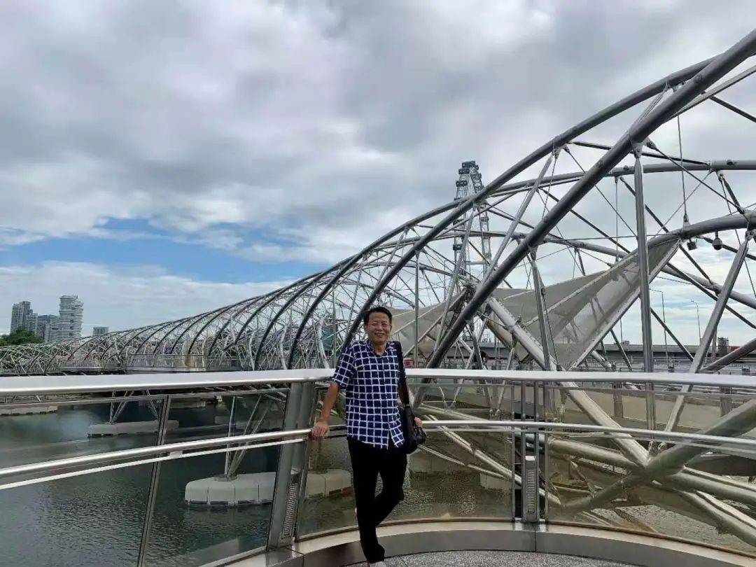 蔡德林:推倒垣墙建桥梁的新加坡