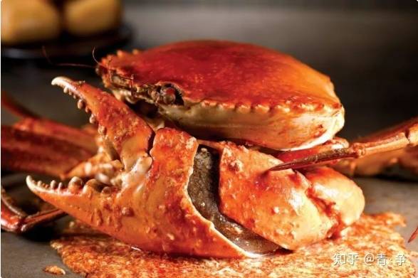 新加坡生活小tips