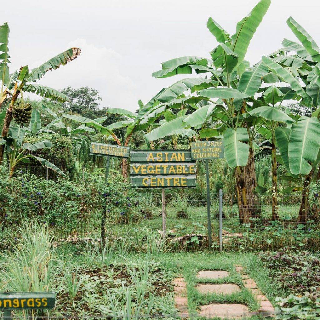 新加坡“巴厘岛”风情🏝 假装出国度假清单✈️ 不出国门也能尽享异域浪漫