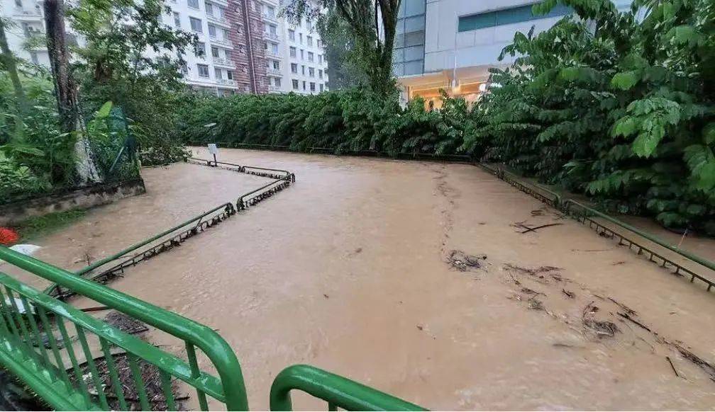 连日暴雨竟让新加坡爆发山洪