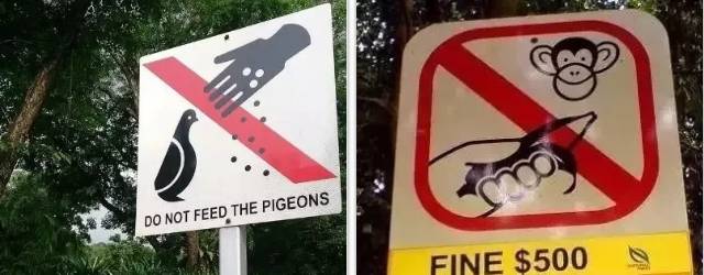 新加坡 一不小心，就犯法