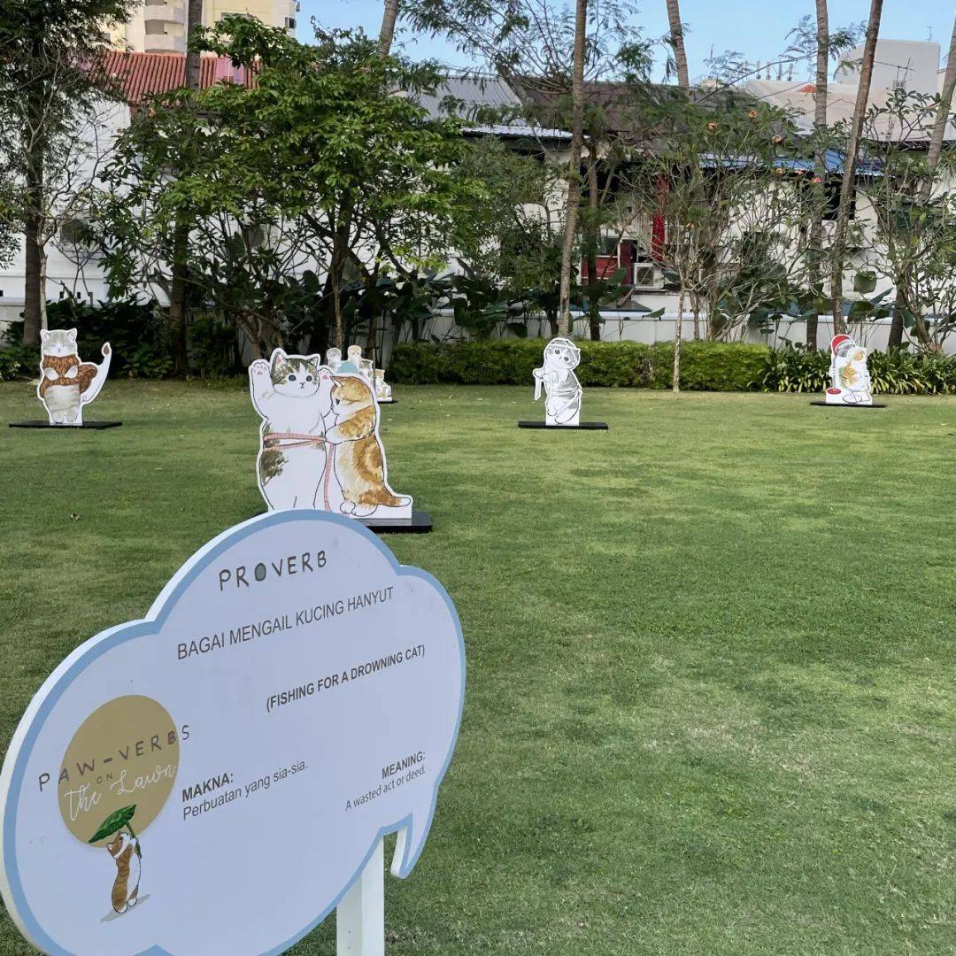 超可爱！马来文化遗产中心惊现多只猫咪