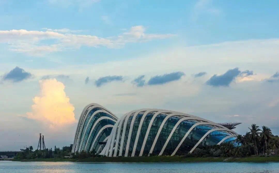 进入新加坡 可以拿什样的准证