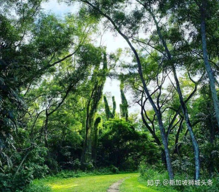 淡滨尼 Tampines: 嬉耍玩乐怎么玩?新加坡最强攻略