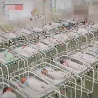 代孕？新加坡法律 Say no