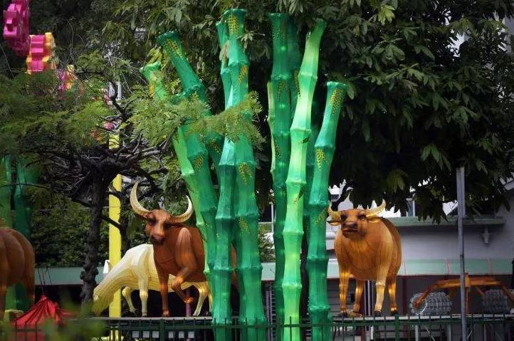 新加坡唐人街解锁网红打卡新姿势，网友：满满的丰收味儿