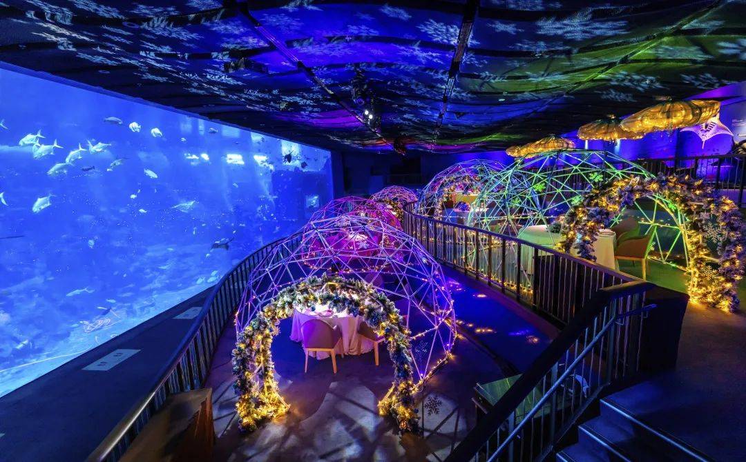 【周末去哪玩】圣诞仙境，植物园世界之树，圣淘沙海滩HelloKitty，闪耀星光灯光秀，等等等等