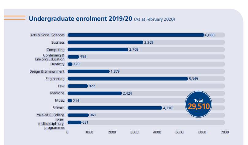 NUS 2020年度成绩单出炉，你还满意吗