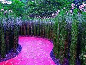 玩转新加坡！八个必去的旅游景点