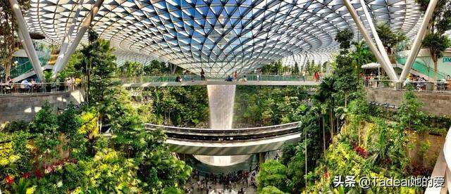 凭什么去新加坡都为它刷屏