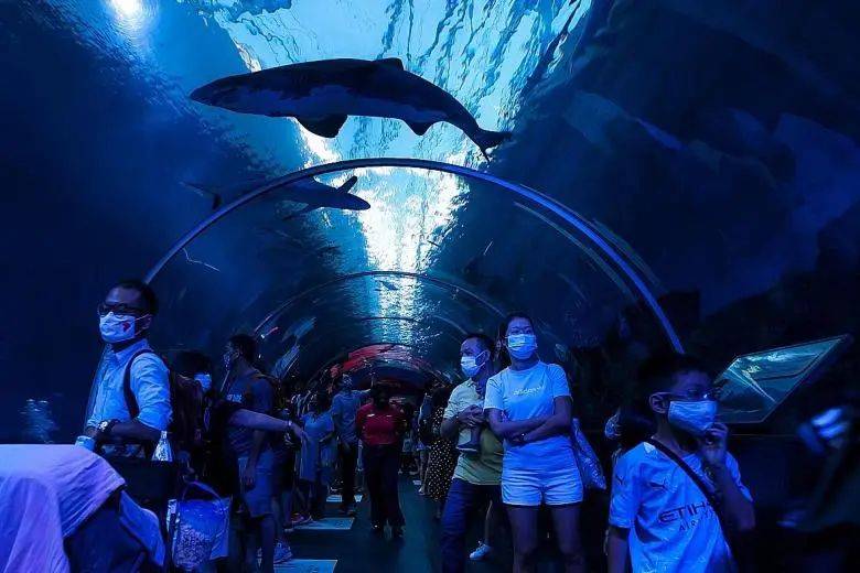 “重新探索新加坡”消费券一个月兑换3590万元，新加坡旅游局拟推出更多旅游项目