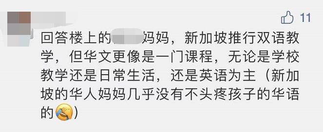 汉语v英语，从新加坡看语言教育背后的国家战略