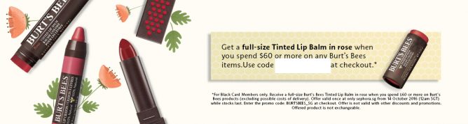 burt_sbee_gwp_sgbrandbanner_a31e98a2779dcfe4c241e7e6653233d81a461c6d_1476415768-668x178