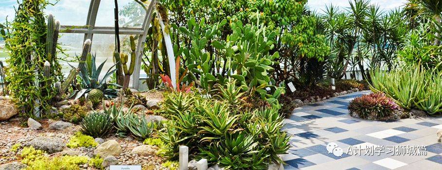 新加坡樟宜机场全方位解读