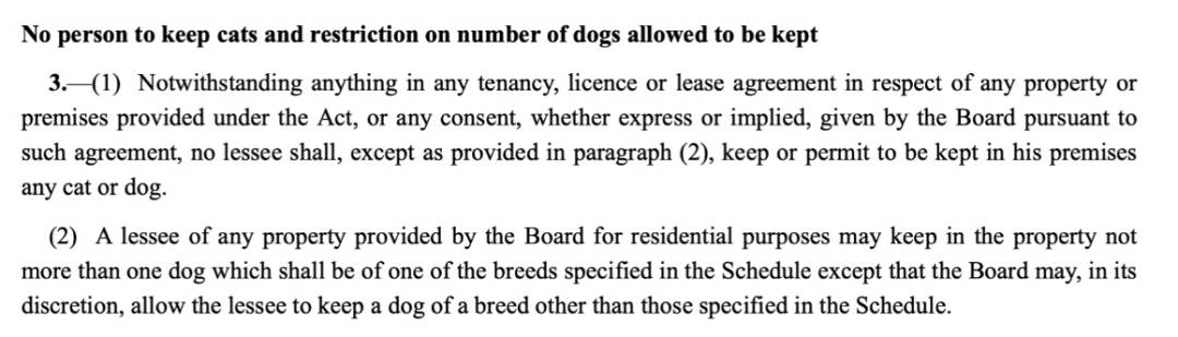 四人在新加坡喂野猪犯法，共被罚1万新币！这些罚款规定太多人踩雷