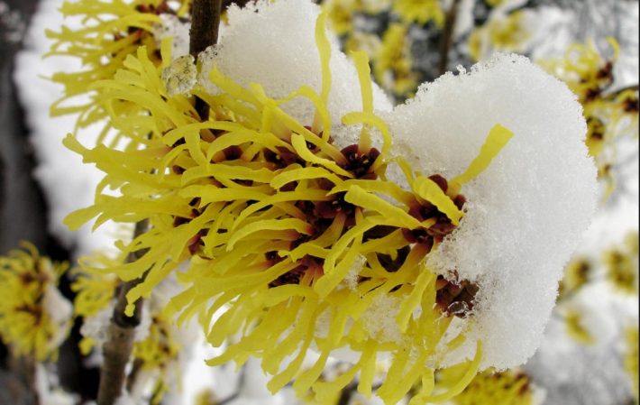 %e5%b1%8f%e5%b9%95%e5%bf%ab%e7%85%a7-2016-10-11-%e4%b8%8b%e5%8d%884-22-48