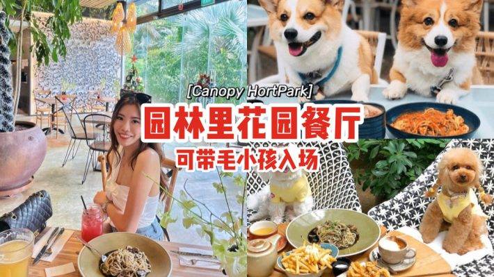 在园艺园林内的花园餐厅Canopy HortPark🌳绿植树木、阳光明媚，可带毛小孩入场🐕