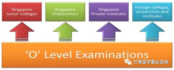 “明星国际学校”——新加坡史丹福美国国际学校