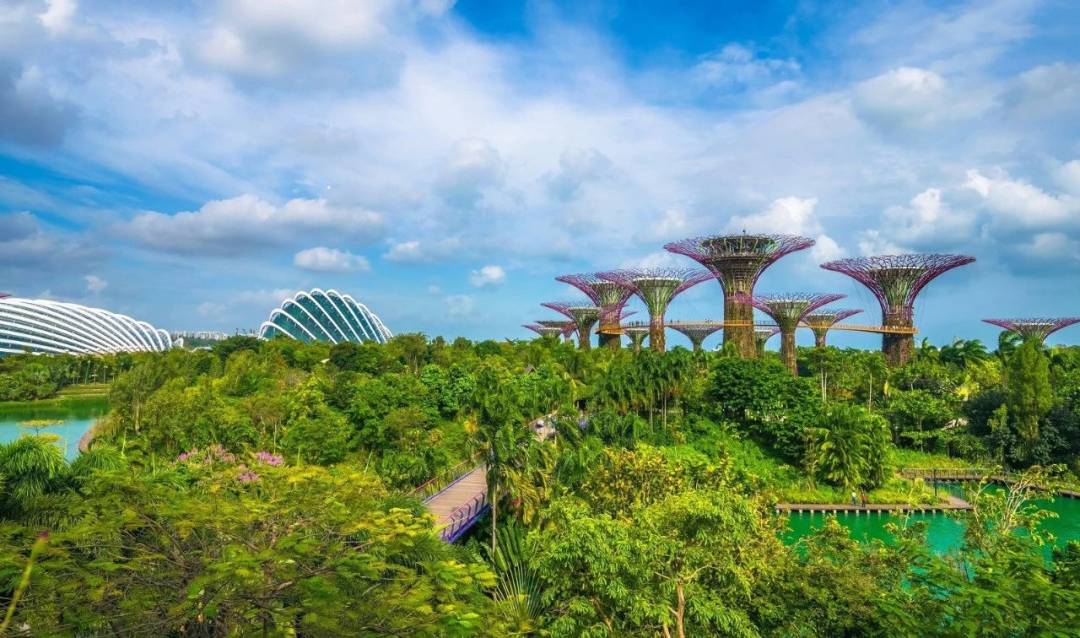 新加坡聚焦三个方面推动下一个阶段转型