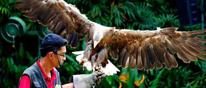 玩转新加坡！八个必去的旅游景点