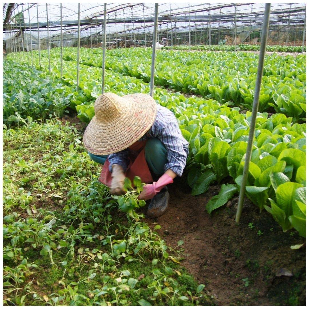 国际首站就在Amoy Street‼米其林厨师汉堡品牌CARNE Burgers🍔2月25日隆重开张🎉
