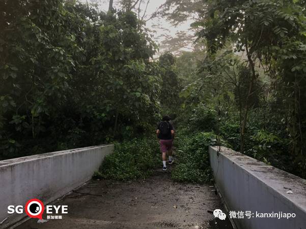 昨天小长假人山人海，武吉知马老铁路成新景点！前生今世大揭秘