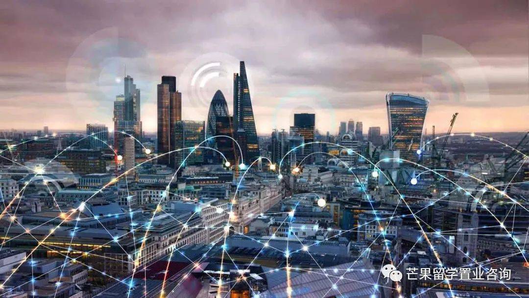 新加坡未来可能最吃香的专业之一