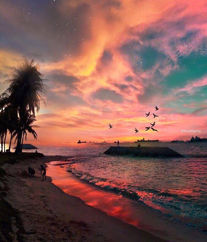 户外活动新选项✨ 新加坡公园烧烤炉&露营区重新开放!内附申请步骤+扎营地推荐