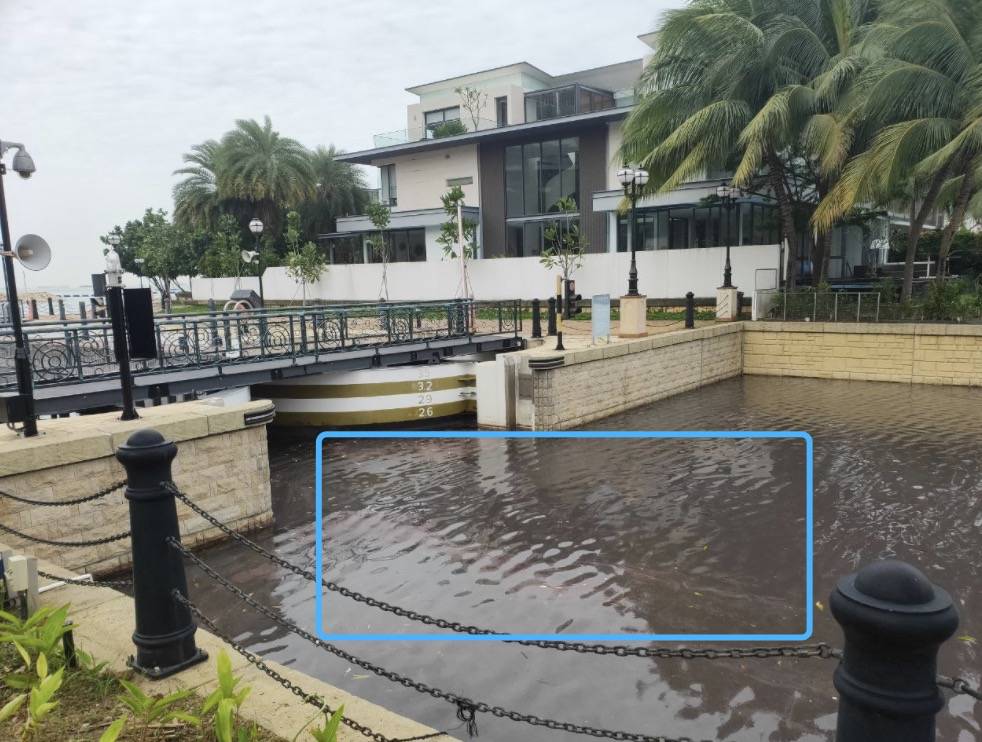 罕见!新加坡圣淘沙这条河变成了粉色,惊现大批死鱼!39年创记录暴雨太作了