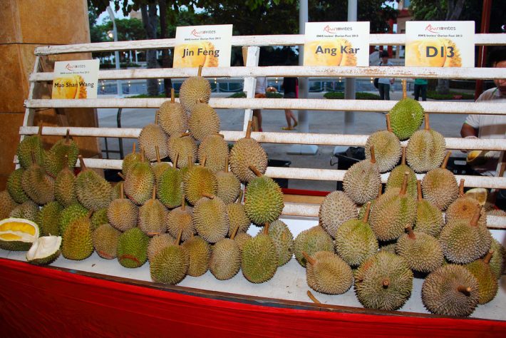 durian11