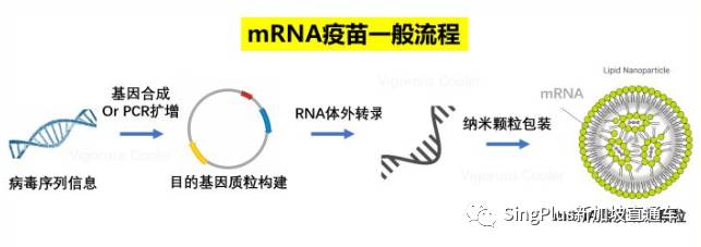 新加坡社区开始接种新冠疫苗！全球数十人接种辉瑞疫苗后死亡