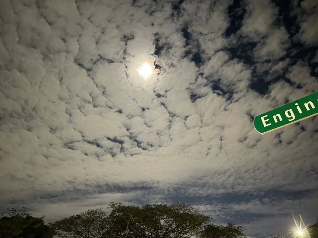 人间四月,来感受新加坡国立大学的春天