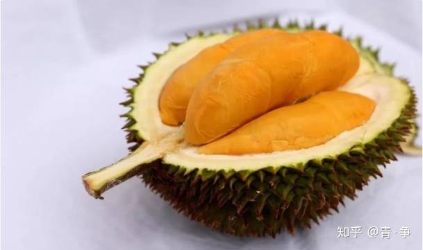 新加坡生活小tips