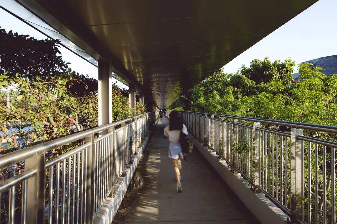 人间四月,来感受新加坡国立大学的春天