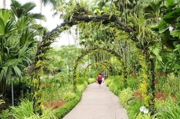 让我们一起陶醉在新加坡的植物王国里吧