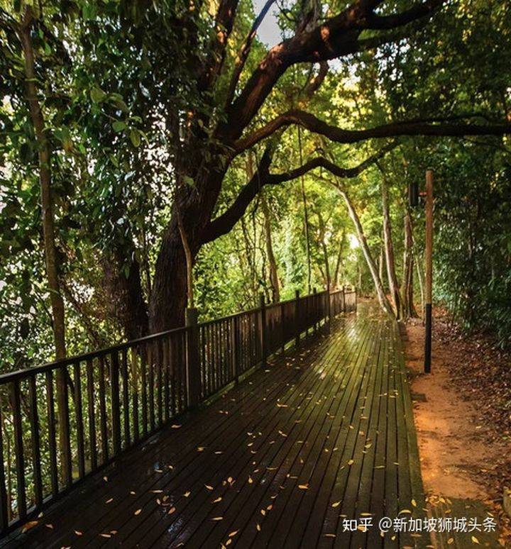 巴西立 Pasir Ris: 新加坡玩乐最强攻略