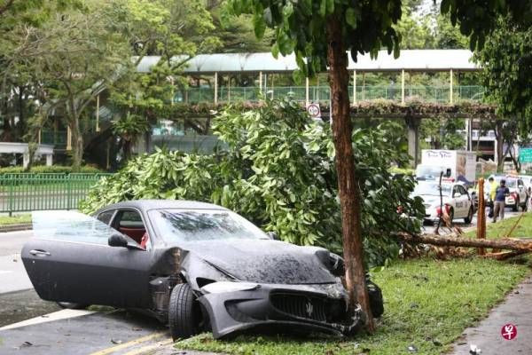 疑雨天路滑 超跑失控撞树 毁了