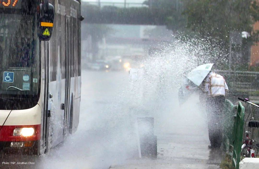 罕见!新加坡圣淘沙这条河变成了粉色,惊现大批死鱼!39年创记录暴雨太作了