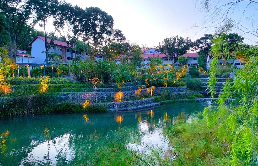 南洋理工大学，每一帧都很美