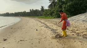 罕见!新加坡圣淘沙这条河变成了粉色,惊现大批死鱼!39年创记录暴雨太作了