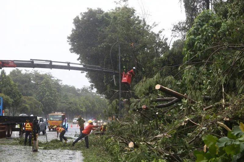 2021年第一周新加坡全岛下倾盆大雨，这究竟是好还是坏