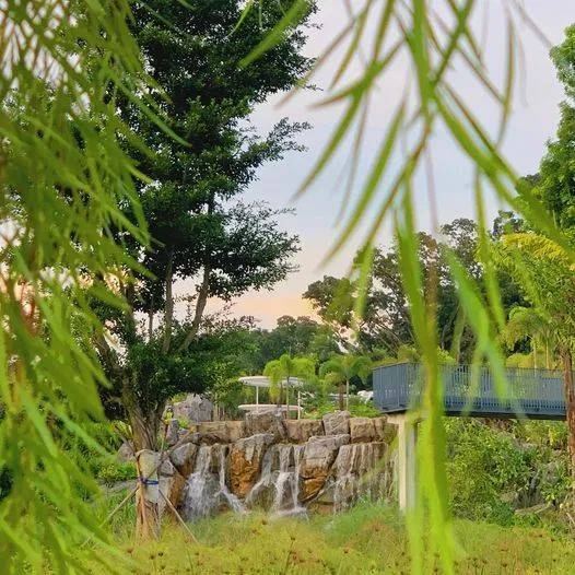 南洋理工大学，每一帧都很美