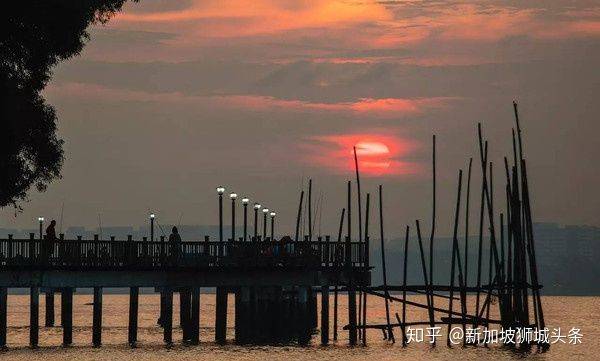 巴西立 Pasir Ris: 新加坡玩乐最强攻略