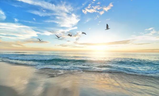 新加坡这家海鲜音乐餐厅要火！人均不到$40，还有现金红包免费领