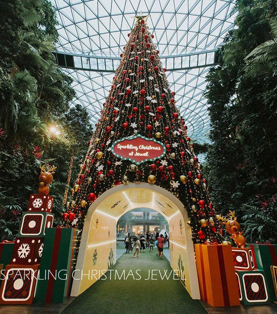 来新加坡，过一个暖暖的圣诞季