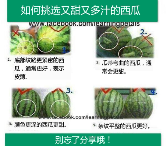 129033261_14647478188281n