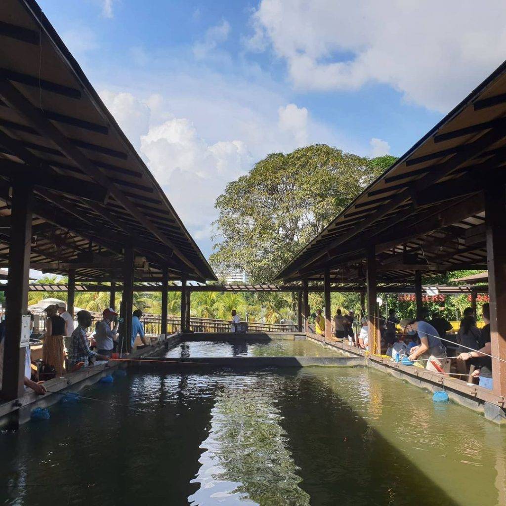 新加坡“垂钓”中心，钓虾、鱼、蟹好去处🐟🦐🦀️ 现钓现烤现吃+冷气房钓虾+24小时营业