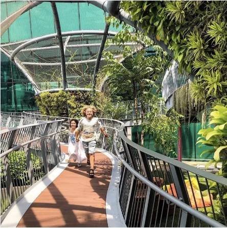 新加坡樟宜机场全方位解读