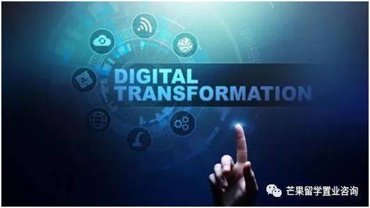 新加坡未来可能最吃香的专业之一